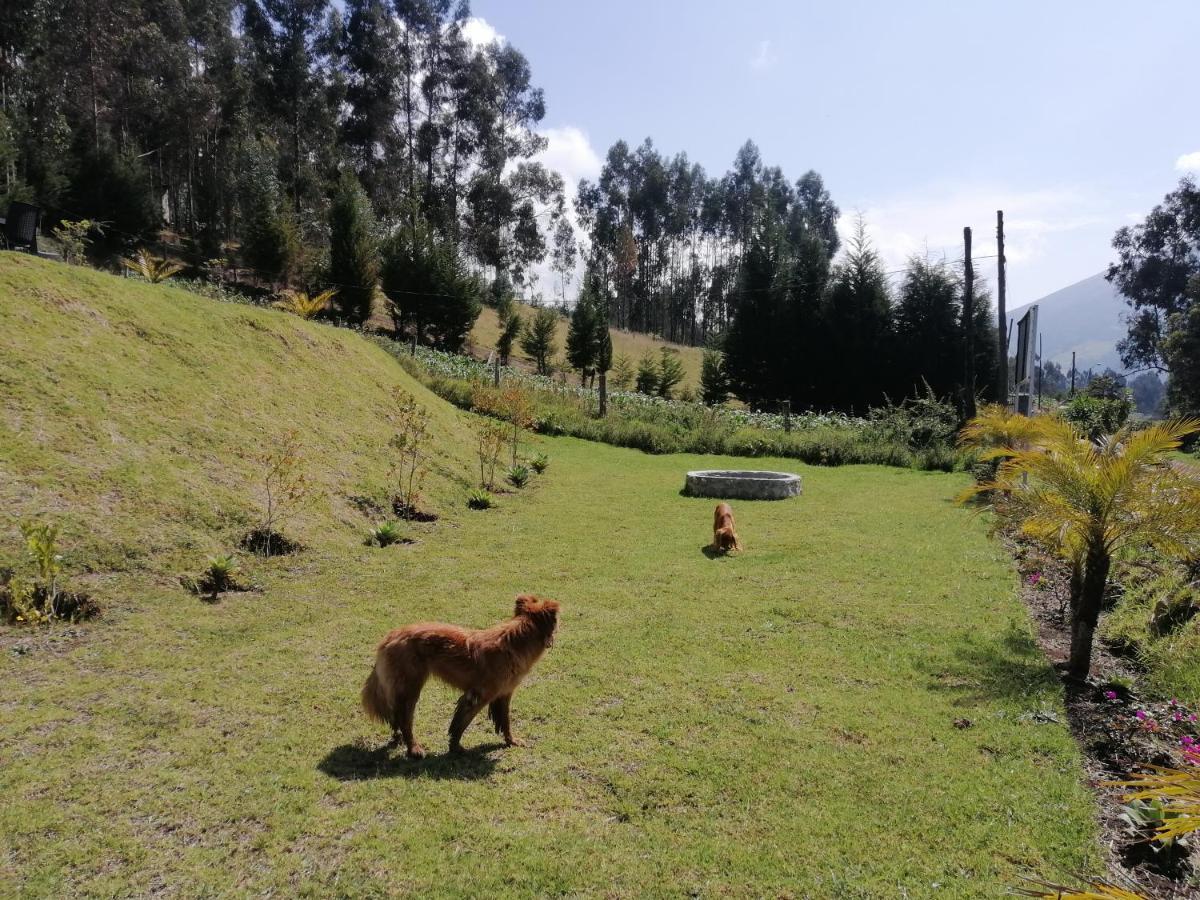 Samay Toa Hotel Otavalo Buitenkant foto