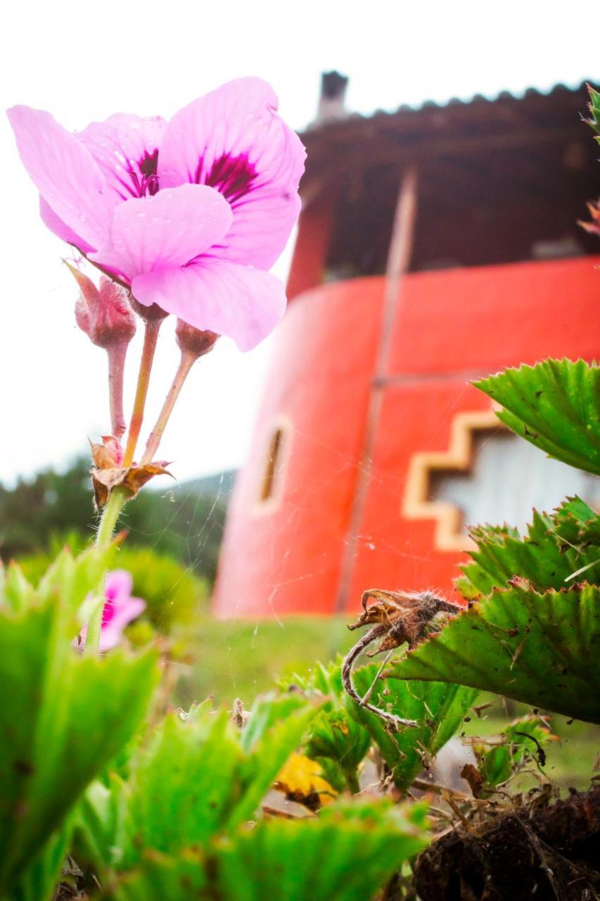 Samay Toa Hotel Otavalo Buitenkant foto
